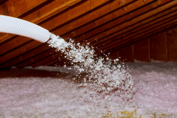 Best Insulation Maintenance and Repair in Stanley, WI