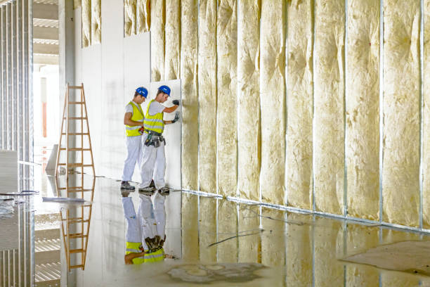Types of Insulation We Offer in Stanley, WI